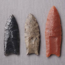 To kill mammoths in the Ice Age, people used planted pikes