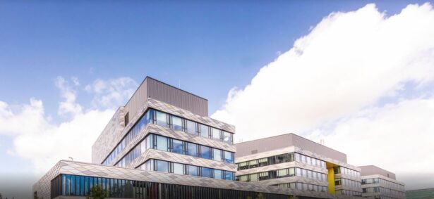 Language and Cultural Interactions