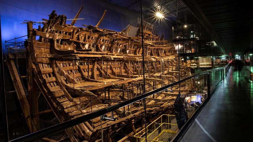Mary Rose bones link handedness to collarbone chemistry
