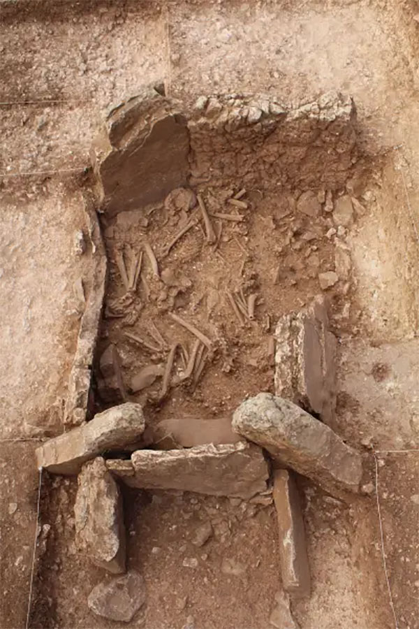 Surprising discovery in the megalithic necropolis of Panoría