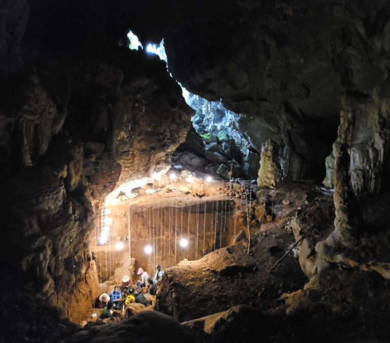 Early modern human activity in the jungles of Southeast Asia