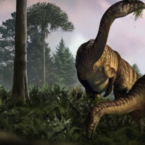 Fossil dung reveals clues to dinosaur success story