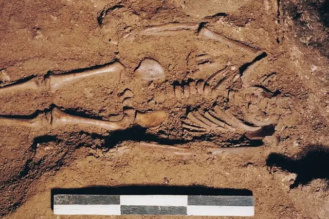 Oldest genome of Italy belongs to an infant