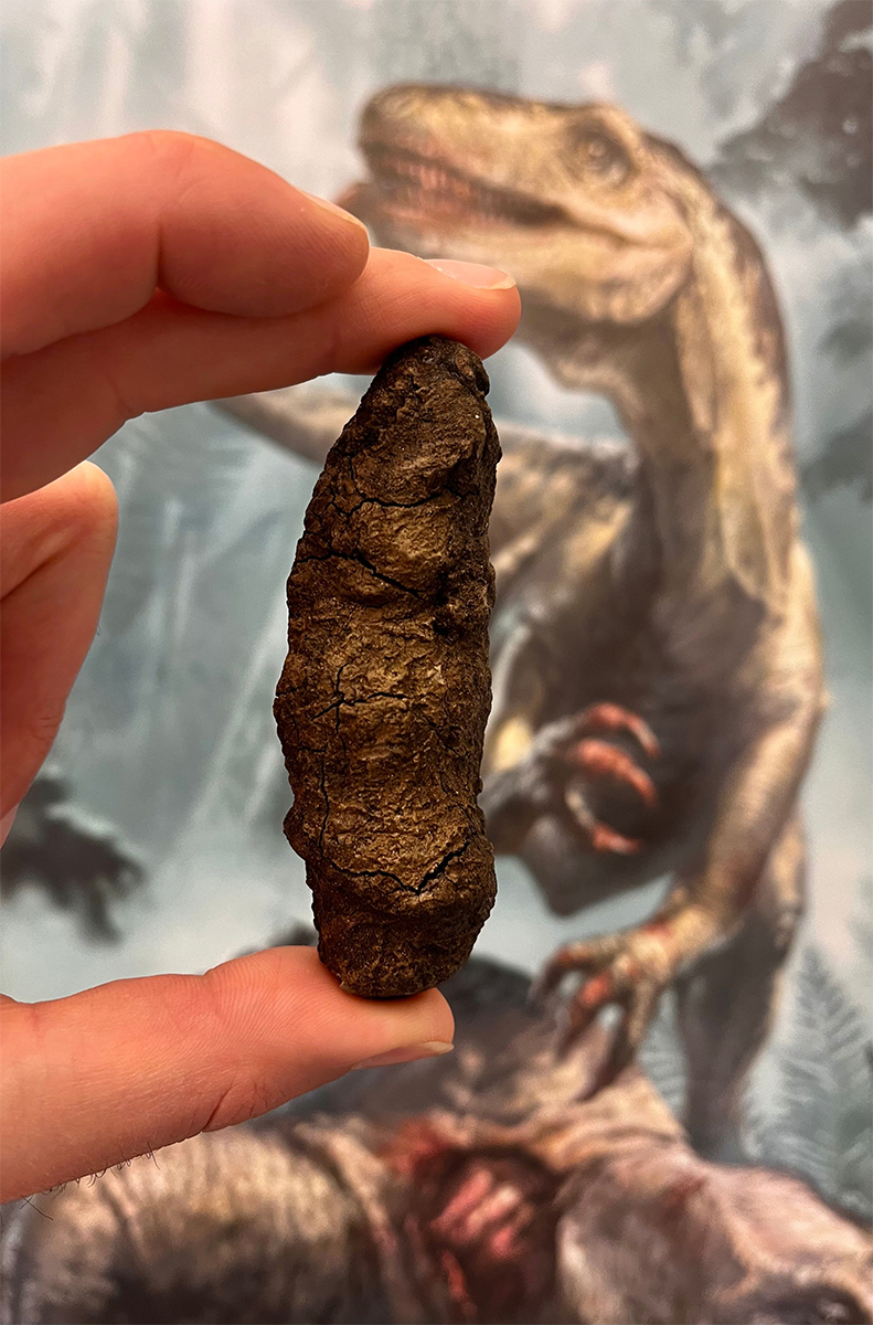Fossilized faeces reveal secrets of dinosaur evolution