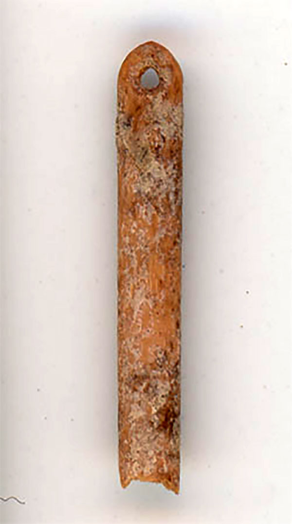 Early North Americans made needles from fur-bearers