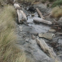 Waka found on Rēkohu Wharekauri Chatham Island