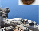 Cycladic SSeminar Sbonias