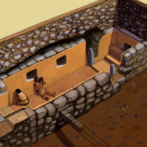 Ancient psychedelics helped create class hierarchies in the Andes