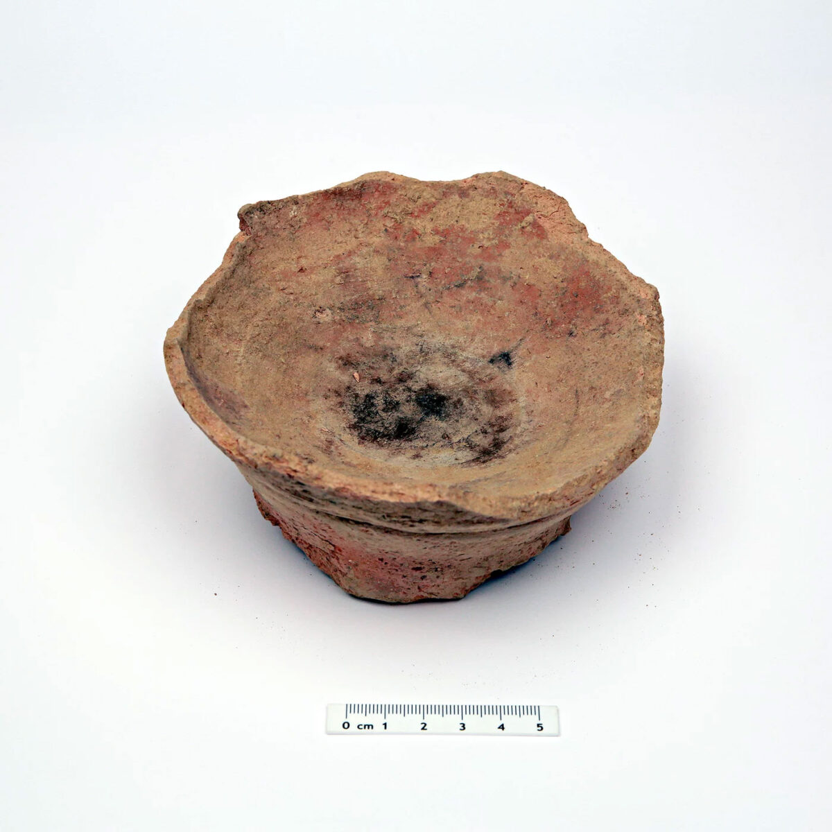 Earliest Use of Psychoactive and Medicinal Plant ‘Harmal’