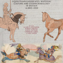 Medieval Warhorse