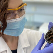 New method for accessing proteins in ancient human remains
