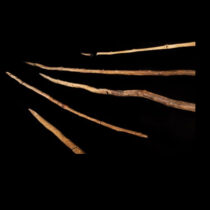 New dating for the world-famous Schöningen spears