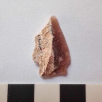 Excavation of Drouseia Skloinikia in the Akamas Peninsula