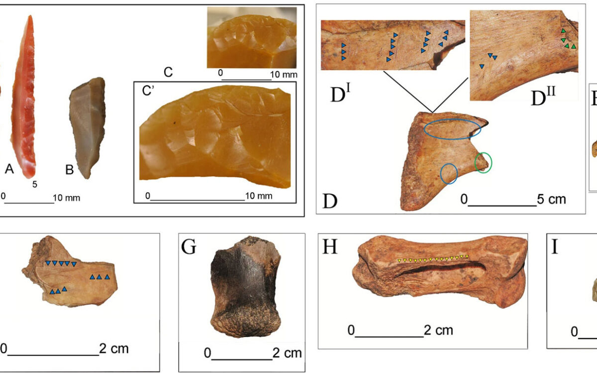 Earliest human presence in Sicily