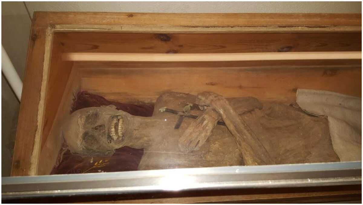 The mummy of the “air-dried chaplain” in his coffin in the church crypt of St. Thomas am Blasenstein, Austria (image: J. Wimmer).