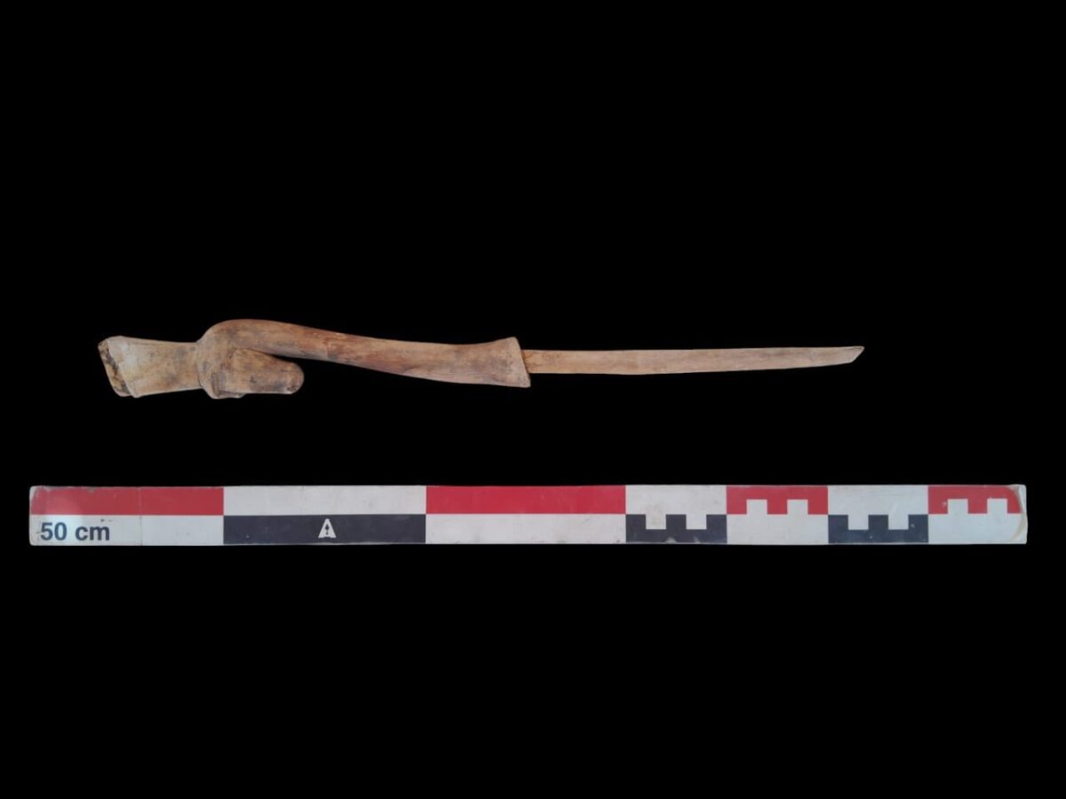 Wooden implement with animal shaped tip.  Source: MoTA Egypt.