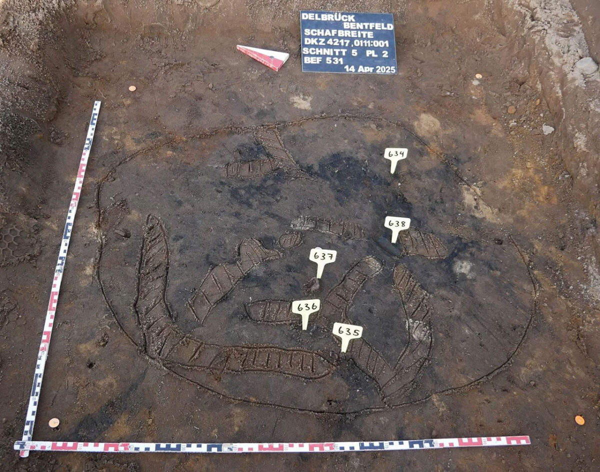 Fitting with eyelet from a Roman military belt of the 4th/5th c. CE. Image credit : Landschaftsverband Westfalen-Lippe
