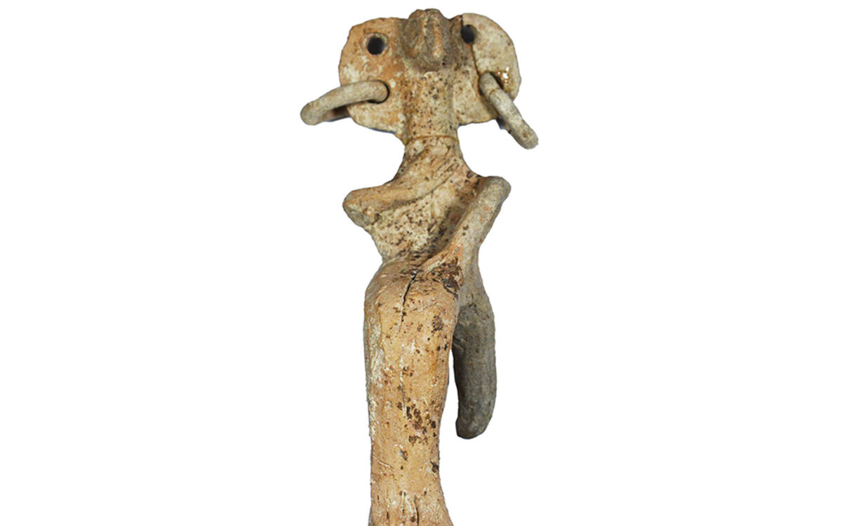 Results of the excavations at Dromolaxia, Cyprus