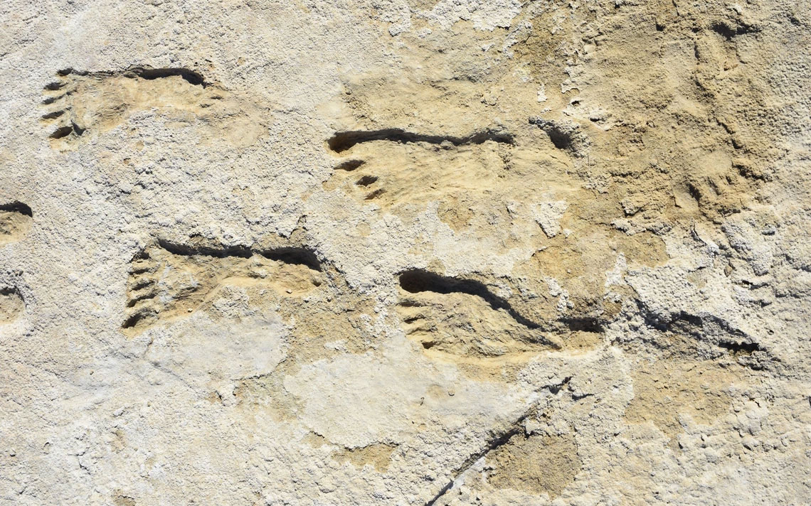 Earliest evidence of humans in the Americas confirmed