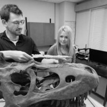 Closest known ancestor of tyrannosaurs