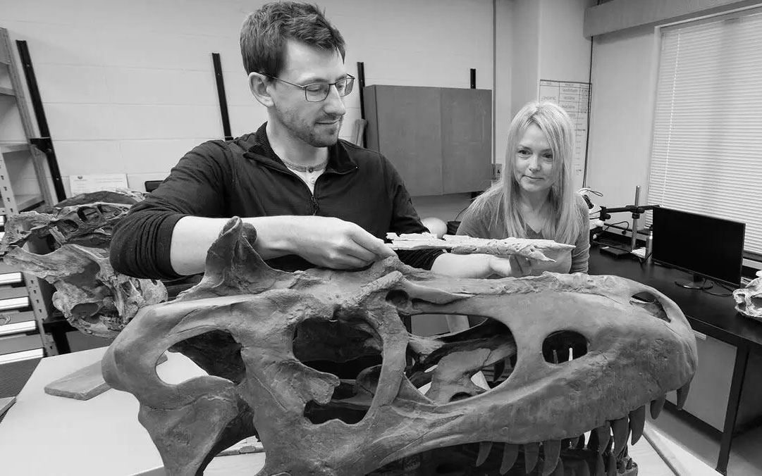 Closest known ancestor of tyrannosaurs