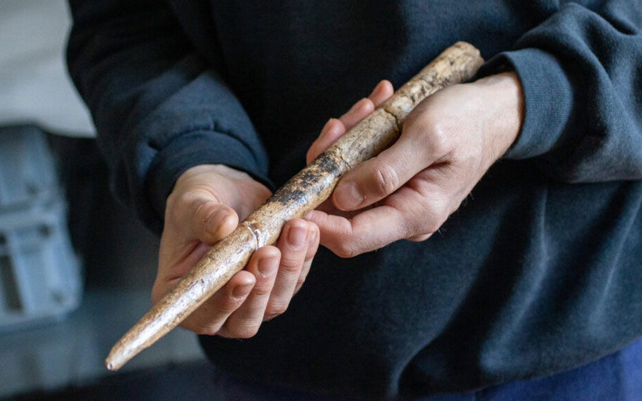 Late Paleolithic whale bone tools