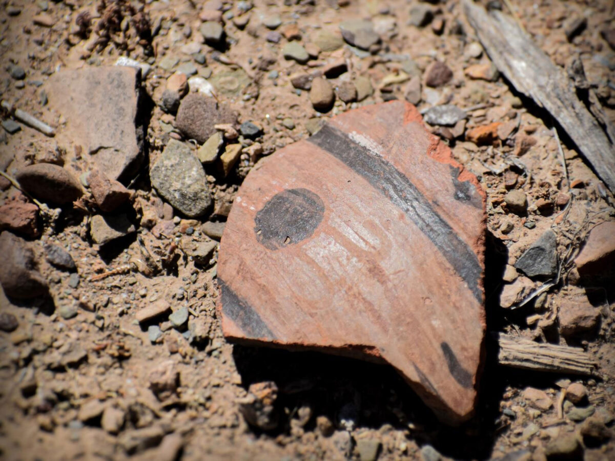 The surface of the temple contained numerous fragments of keru cups. The cups were used for drinking chicha, a traditional maize beer, during agricultural feasts and celebrations and point to the temple's function as a central hub for trade. Credit: José Capriles / Penn State. Creative Commons