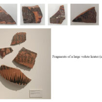 The 2025 excavations at the Amathus Palace