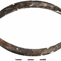World’s oldest boomerang found in Poland