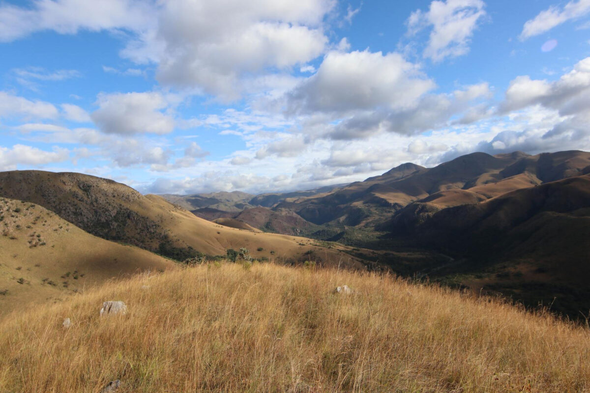 The Mgwayiza Valley in Eswatini. Photo: Gregor Bader