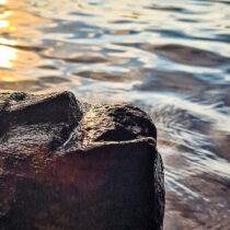 Face from the lake