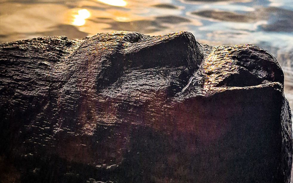 Face from the lake