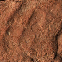 A 4,000-year-old hand is waving from an Egyptian tomb