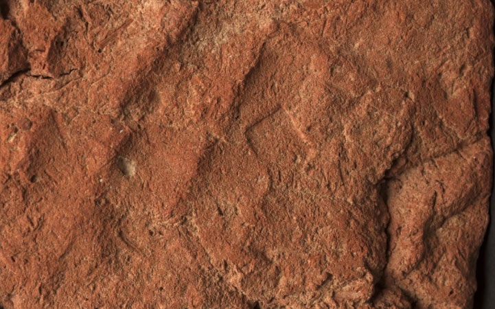 A 4,000-year-old hand is waving from an Egyptian tomb