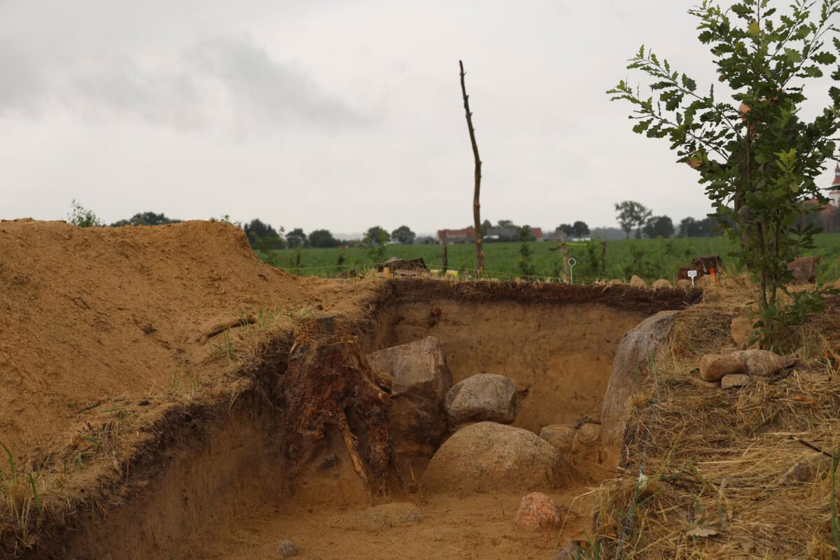 Excavation of a tomb enclosure in Chłapowski Landscape Park, Wyskoć, Poland. Image credit : Landscape Parks Complex of the Wielkopolska Voivodeship