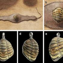 A trilobite fossil amulet from Roman Hispania