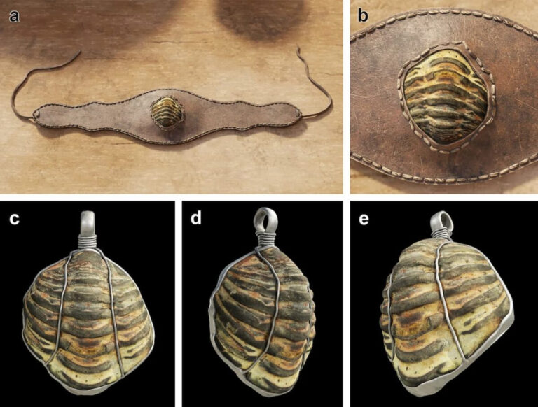 trilobite amulets