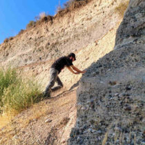 New palaeontological discoveries at Vatera