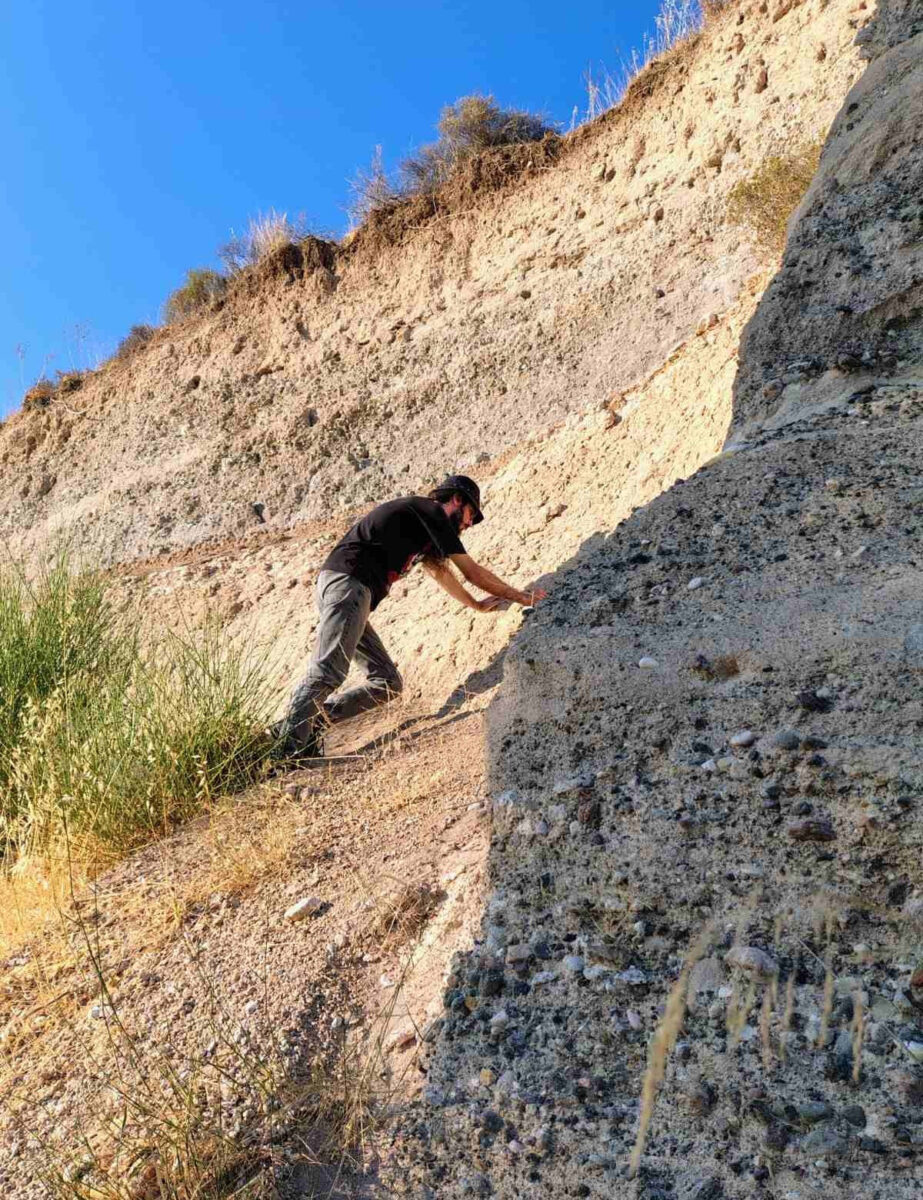 New palaeontological discoveries at Vatera