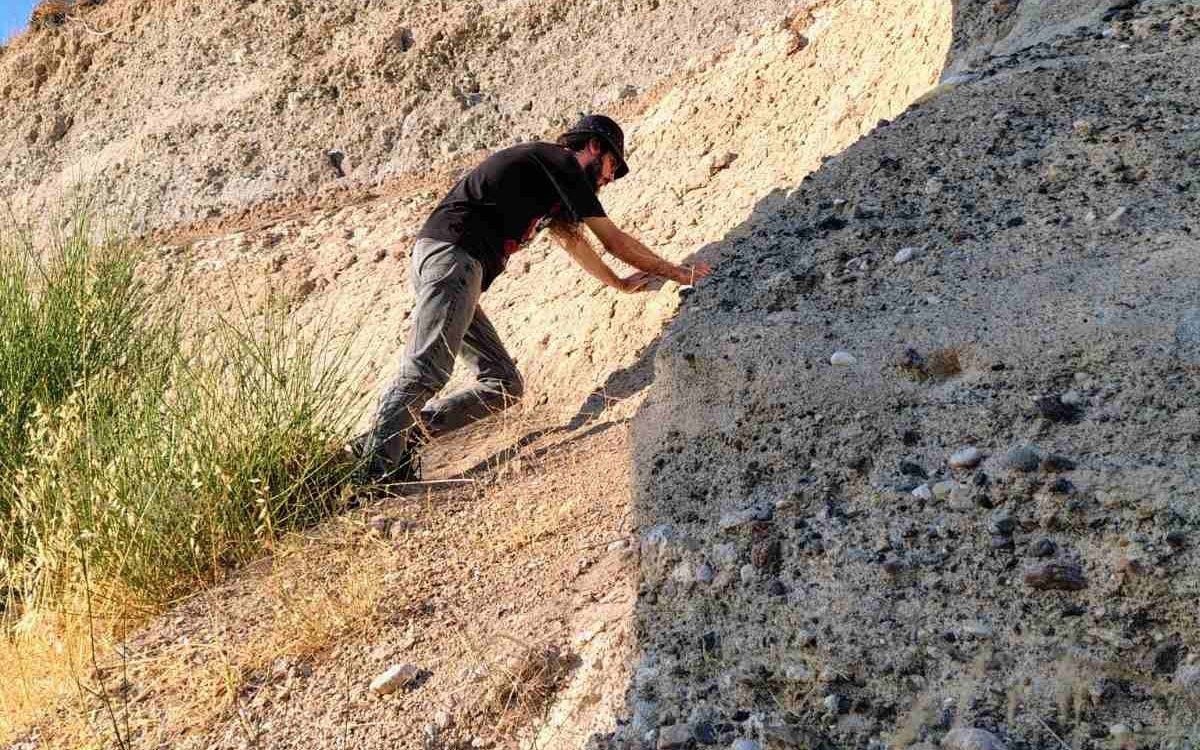 New palaeontological discoveries at Vatera