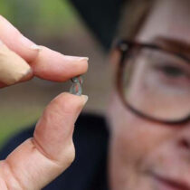 Archaeologists reveal ancient nobles’ ringfort