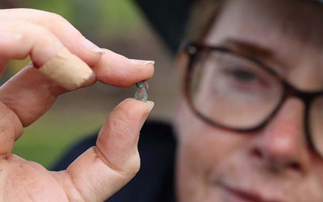 Archaeologists reveal ancient nobles’ ringfort
