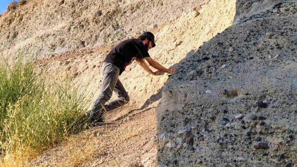 New palaeontological discoveries at Vatera