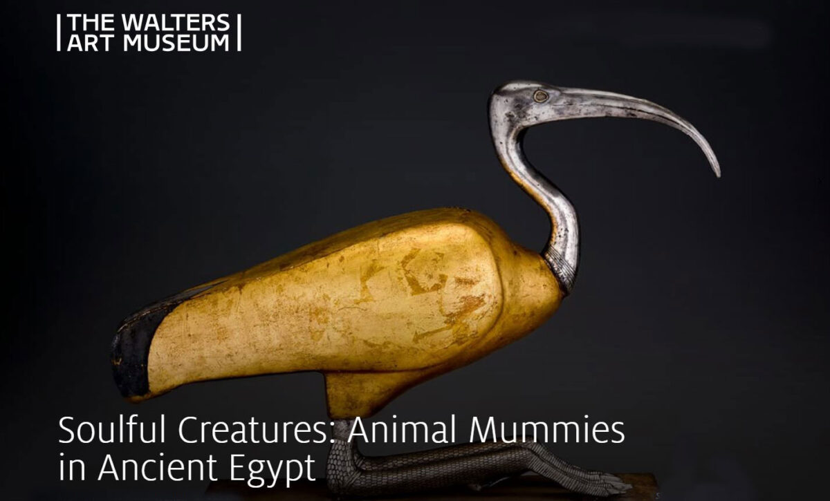 Soulful Creatures: Animal Mummies in Ancient Egypt