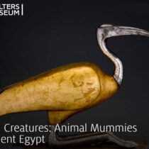 Soulful Creatures: Animal Mummies in Ancient Egypt