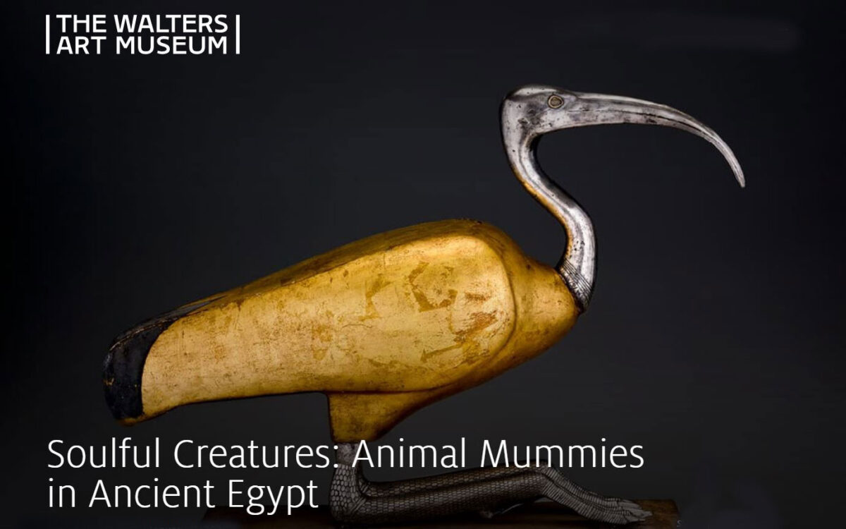 Soulful Creatures: Animal Mummies in Ancient Egypt