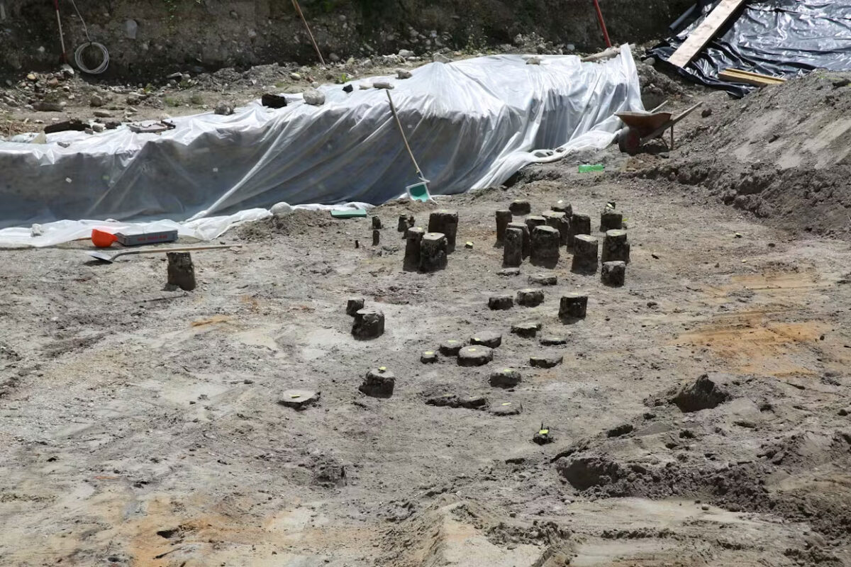 Excavation with closely spaced oak piles from the bridge piers. A sample was taken from each individual pile for age determination. Image: Archäologischer Dienst des Kantons Bern, Joel Furrer