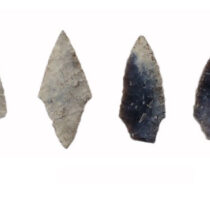 Study challenges stereotypes of Stone Age women and children