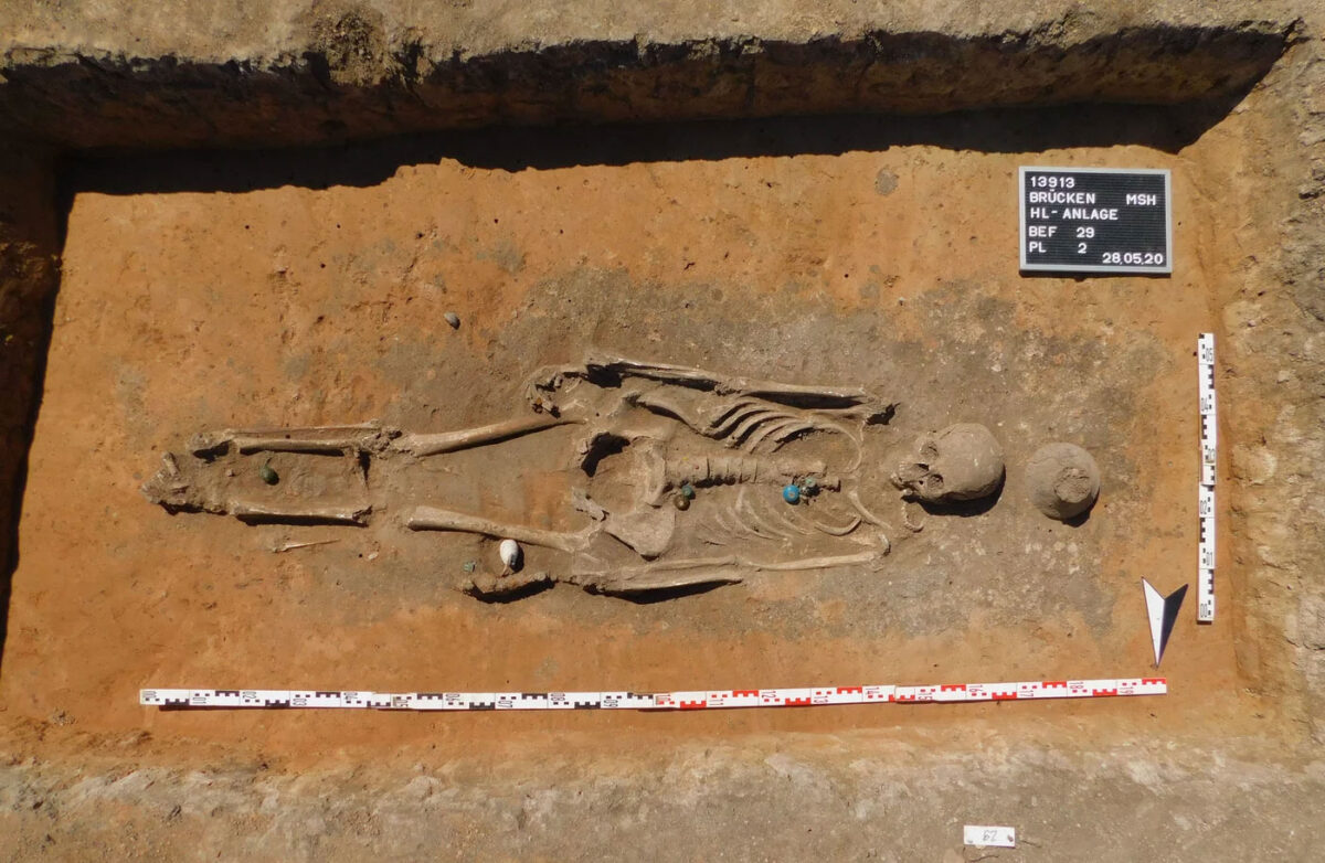Undisturbed burial of an adult woman with genetic markers indicating local origin. Grave goods: glass bead jewelry and a cowrie shell amulet. Pre-Slavic cemetery of Brücken, feature 13913:29. © Landesamt für Denkmalpflege und Archäologie Sachsen-Anhalt