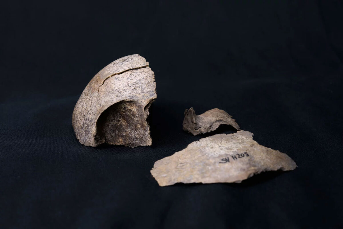 The dataset included the DNA of an infant buried within a very early Slavic context usually only linked to cremations. © Martin Košťál, Laboratory of Advanced Documentation, MUNI CZ